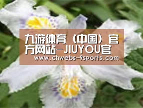 产品名称二