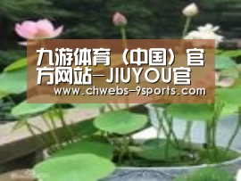 产品名称一