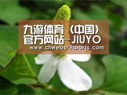 产品名称三
