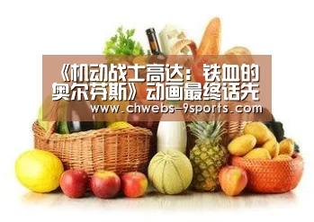 《机动战士高达:铁血的奥尔芬斯》动画最终话先行图_九游体育(图1) 九游体育