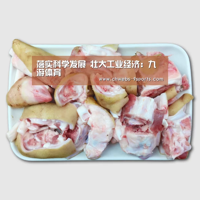 落实科学发展 壮大工业经济:九游体育(图4) 九游体育
