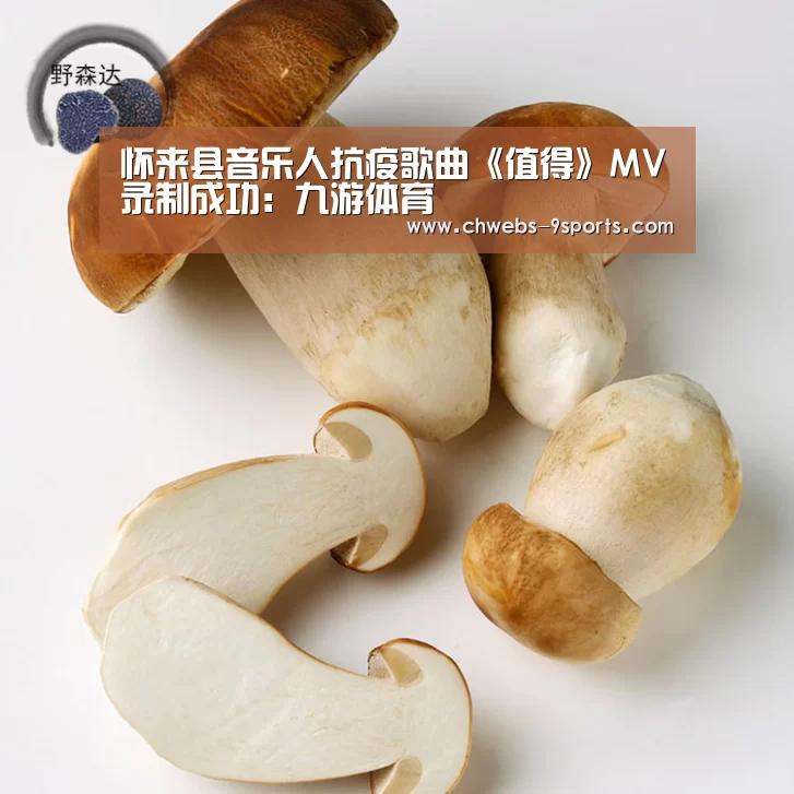 怀来县音乐人抗疫歌曲《值得》MV录制成功:九游体育(图3) 九游体育