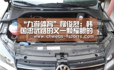 “九游体育”柳俊烈:韩国忠武路的又一颗耀眼的星星 未来的代表人物之一(图2) 九游体育