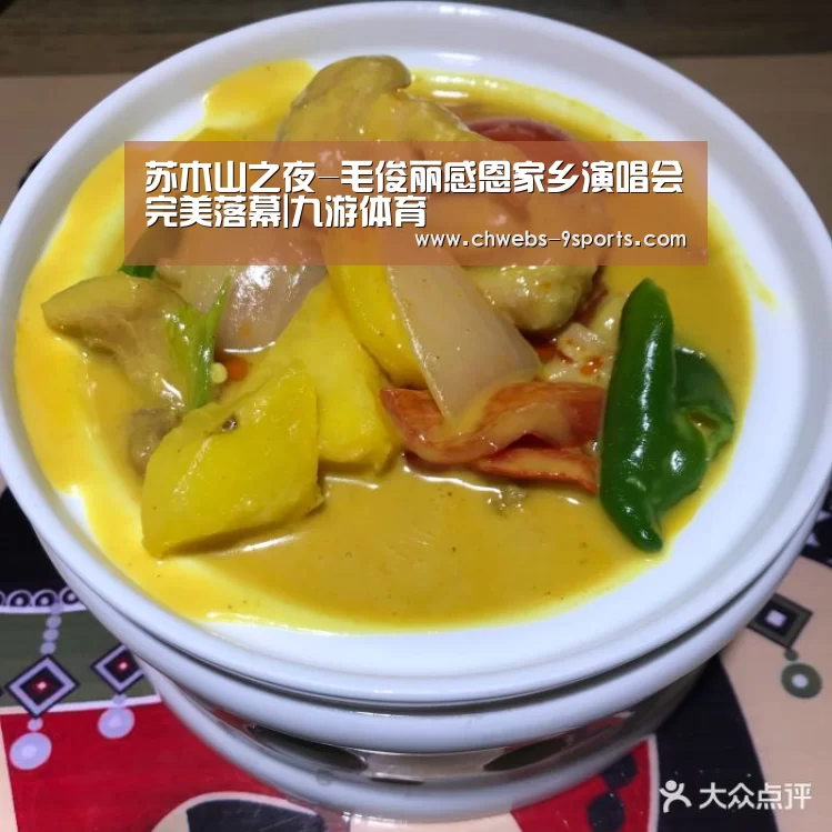 苏木山之夜-毛俊丽感恩家乡演唱会完美落幕|九游体育(图4) 九游体育