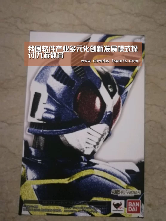 我国软件产业多元化创新发展模式探讨|九游体育(图3) 九游体育